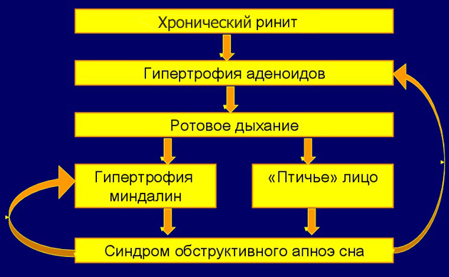 апноэ как причина нарушения прикуса у детей апноэ как причина нарушения прикуса у детей