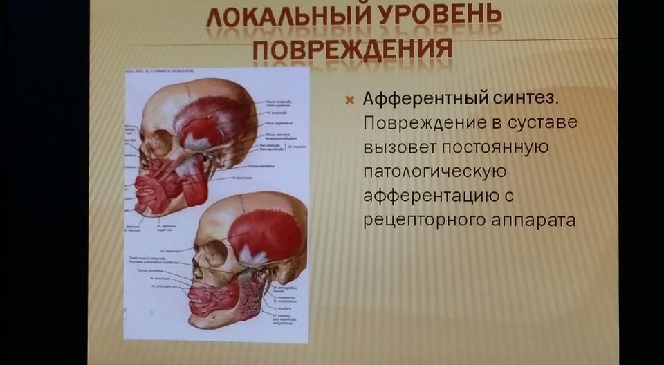 курс Л.Н. Байрамовой курс Л.Н. Байрамовой